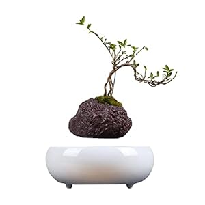 CXJC Suspended Air Bonsai Flowerpot is modieus en klassiek, licht van gewicht, gemaakt van hars, natuurlijke…