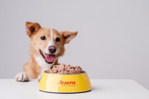 JosiDog Game in Sauce (12 x 415 g) | Adult | Premium Nassfutter für ausgewachsene Hunde | mit Wild in Sauce mit Vitamin D3 & E | Powered by JOSERA | Hundefutter nass | Alleinfutter | 12er Pack