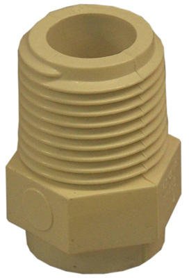 ADAPTR CPVC 1/2"ML