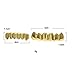 Smileheven Hiphop Teeth Grillz Punk Set Gold/Silver Plated Dental Jewelry (Upper & Lower) Adjustable Snap-on Teeth Covers for Parties, Concerts - Hip Hop Fashion Accessories (Silver,Fang Grillz)