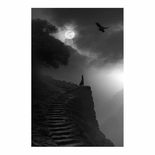 Affiche noir et blanc Silhouette de la Dame déco murale lune HOQIU chambre