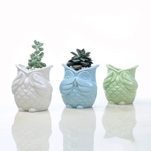 Pots de fleurs décoratifs hibou TUSUOD céramique pour plante verte