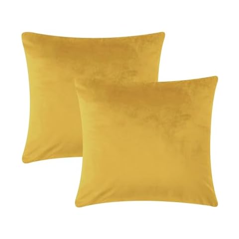 AMEHA Velvet Cushion Covers Set of 2 Cover