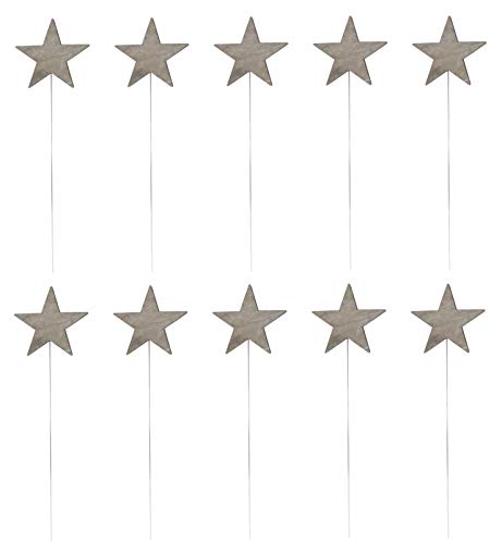 DARO DEKO Blumen-Stecker Stern grau mit Metallstab 10 Stück