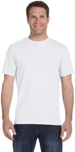 Hanes 5280 Men's Comfortsoft Tee btghg 