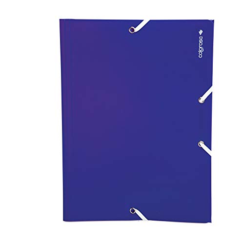 RI.PLAST 89355 - Carpeta coloreada de polipropileno, colores surtidos, A4