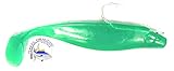 Reel Draggin' Tackle Shad Swim Bait, 9 inch 10/0 Stinger Rigged (Green)