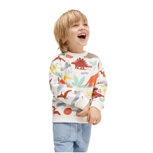 Boys Sweatshirts Casual Sweatshirts Cotton Sweatshirts Long Sleeve T-shirts Crew Neck Cartoon Tops for Boys-7083