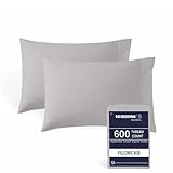 SGI Bedding 100% Egyptian Cotton Queen Set of 2 Pillowcases - 600 Thread Count, Open End Closure, Soft & Silky Sateen Weave, Breathable & Durable, Luxury Hotel Quality (20' x 30') - Silver