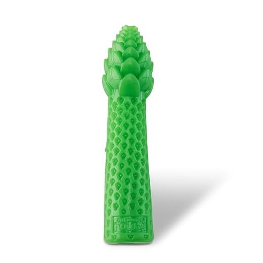 Pupstages Dental Asparagus Treat-Stuffer Dog Toy – Multi-Textured, Mint Scent, Small & Medium Breeds, 6.7"