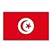 Produktbild Fahne / Flagge Tunesien NEU 90 x 150 cm Flaggen