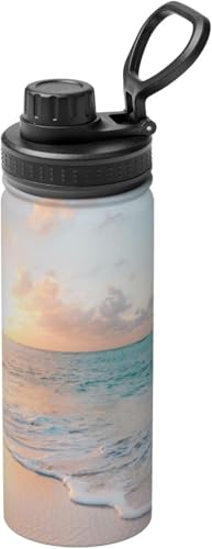 r[` F̗[  ^fM X|[c{g XeX{g y ۗ 킢E ۉ 530ml j̎q ̎q  l q v[g