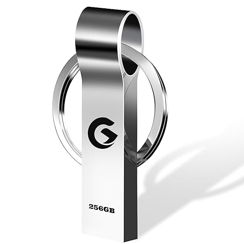 Memoria USB 256GB - gupmar Pendrive Alta Velocità USB 3.0 Pen Drive Grande Capacità Disco Duro Externo para Computadora Tableta PC, con Llavero(256gb)