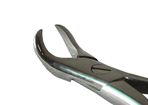 ADDLER DENTAL FORCEP LOWER MOLARS LEFT + RIGHT UNIVERSAL SERRATED HANDLE GP No 87. LIFE TIME ANTI RUSTING WARRANTY. (B06XPHF5RY) Amazon Price History, Amazon Price Tracker
