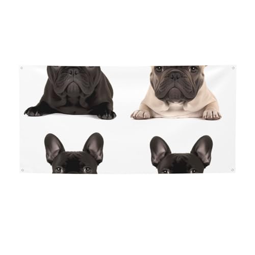 NGCeBuoi[Ǌ|wioi[ t`uhbO [Wp[eB[oi[TC|X^[p[eB[wi VN  ap[eB[ ʐ^Be ~fBA