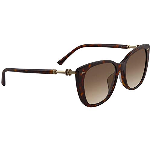 Sunglasses Bvlgari BV 8220 F 504/T5 Dark Havana