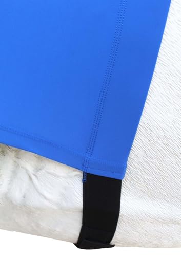 Image of L Horse Comfort Stretch Neck Hood Royal Blue 521MW04RB