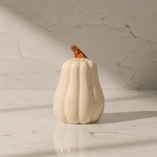 Image of Pump & Plume Salt & Pepper Shaker Set - Set of 2 Handcrafted Ceramic Shakers - Minimal Tabletop Essentials for Everyday Dining