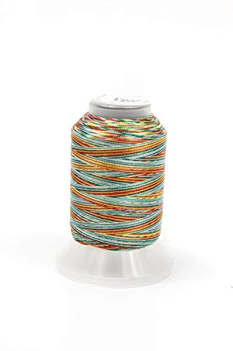 Embroidex 24 carretes de hilo de bordar para máquina multicolor miniatura 6