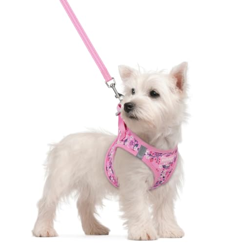 Image of rabbitgoo Dog Harness Small Sized and Leash Set, Step-in Puppy Pet Vest