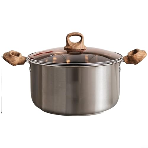 Tidgel Olla de sopa gruesa de acero inoxidable 201 con orejas dobles y vaporizador para estufas eléctricas de inducción de gas, color plateado, 19,7 x 19,7 x 11 cm (20 cm)