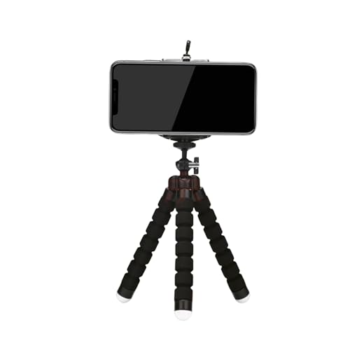 FineGood X}zOr ჌t ˂ˎOr B tLVu Or ^тɕ֗ ^y ~jOr gѓdb/fWJ/rfI J/vWFN^[ ()