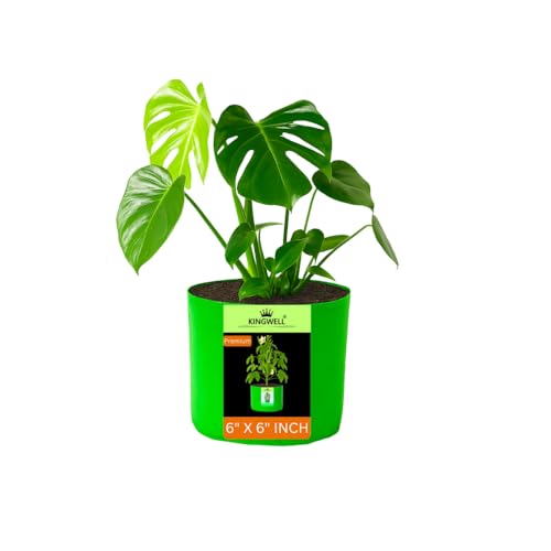 Image of Kingwell Grow Bags 6x6 inches -Pack of 1 Bags for Plants Gardening Home, Grow Bags for Terrace Gardening