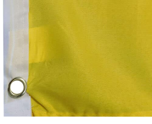 Mujer Joven Con Bandera Nacional De Ucrania En La Calle | Foto Premium