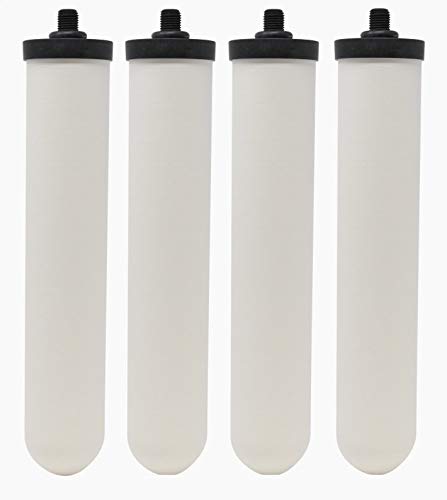 DOULTONUltracarb 10" Short Mount Water Filter for Hip, HIS & Duo Housings (4 Pack)