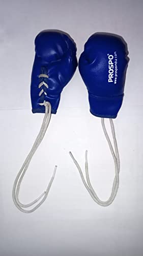 Image of PROSPO Boxing Glove Key Ring & Hanging Accessories