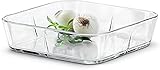Rosendahl Grand Cru Ovenproof Dish, Clear, 2.4'H x 15'L, 143.7 oz, Gift Box Included