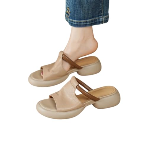 [Miflaier] q[T_ p  \tgC\[ Ă̂~[ v ~߃S i yʐ݌v ɗD l [t@[T_