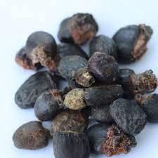See full amazon price history chart for VedoMax Bhilawa Seeds | Semecarpus Anacardium Seed | Marking Nut Seed | Bile Semecarpus Anacardium Linn Seed | - (400 gm) VedoMax Bhilawa Seeds | Semecarpus Anacardium Seed | Marking Nut Seed | Bile Semecarpus Anacardium Linn Seed | - (400 gm) (B0BCFXR5PQ) Amazon Price History, Amazon Price Tracker