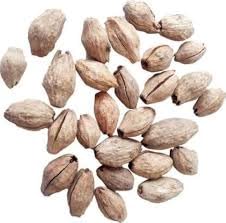 Natural Malabar Neem Tree Seed