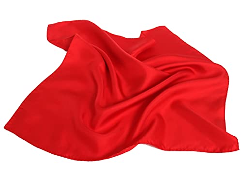 Royal Silk Red Silk Twill Pocket Square for Men