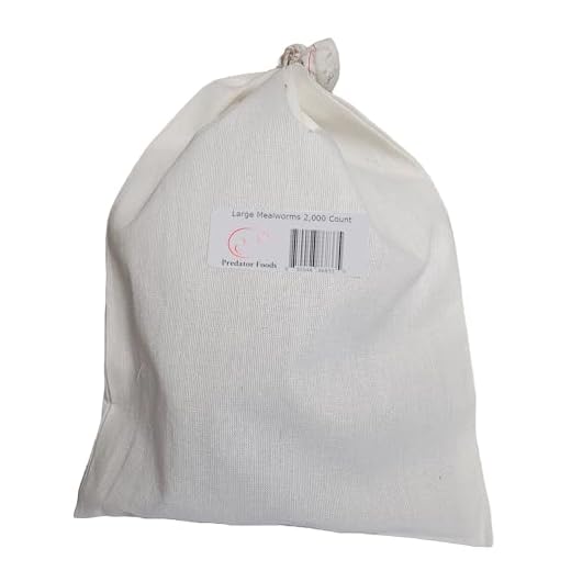 Predator Foods Bulk Live Mealworms 10,000 Count