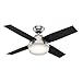 Hunter Fan Company 59245 Ceiling Fan 44" Brass-Antique