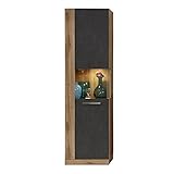 trendteam smart living Wohnzimmer Vitrine Schrank Wohnzimmerschrank Rock, 52 x 186 x 34 cm in Korpus Wotan Eiche Dekor, Front Matera Dekor, Absetzung Wotan Eiche Dekor mit viel Stauraum