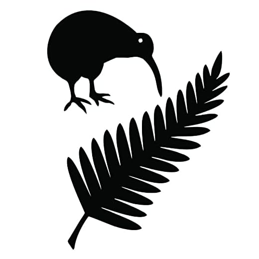 PJYGNK Bilklistermärke 11,4 x 15 cm kiwi fågel och Nya Zeeland ormbunke vinyl bilklistermärken kreativ bilstyling dekal svart/silver S1-2427