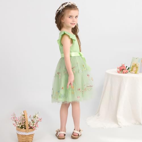 Toddler Girls Baby Tutu Tulle Dress Ruffled Sleeve Embroidered Floral Princess Party Dresses Summer Clothes 2-7Y4