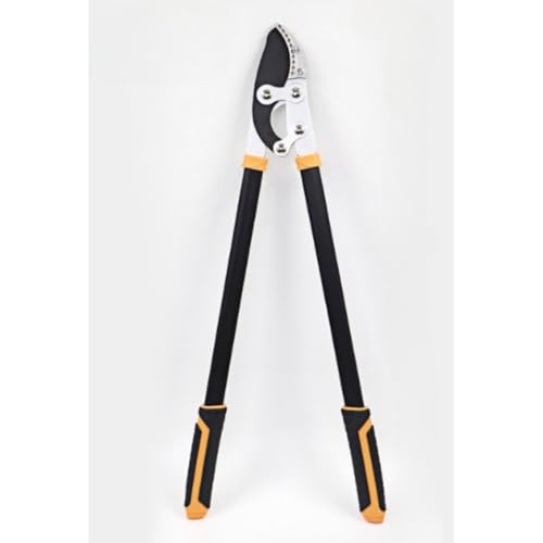 Fiozwea  Yf|n ͙ } ؒfa |pi yʃA~nh (db|Ǒi72cmj)