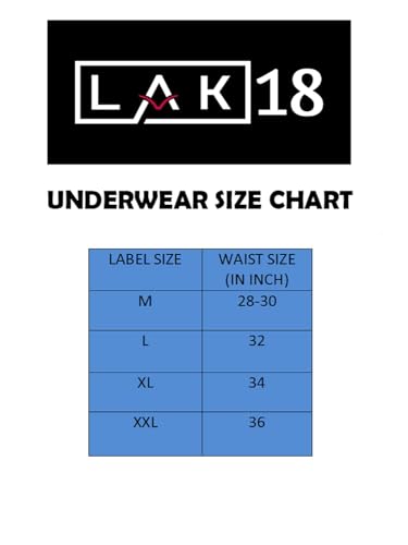 Image of Ultra-Soft Ice Silk Breathable Men's Shorts Underwear Brief Boxer | Multicolor |