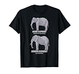 Ligero, Encaje clasico, Manga de doble puntada y bastilla baja