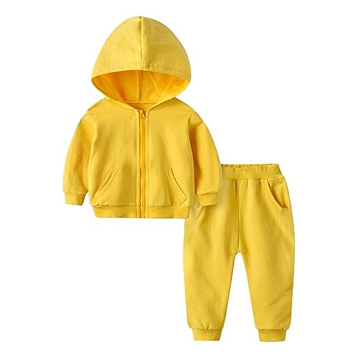 Kids Girls Soft Cotton Hoodie Sweatsuit Toddler Baby Zip up 2 Piece Tracksuit Long Tops Jogger Outfits Set Fall