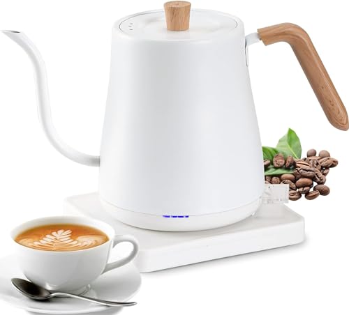 best gooseneck kettle