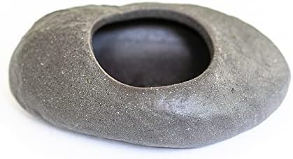 Miniatura 4 de Paquete de 3 soportes de piedra de cerámica gris con plantas de aire surtidas, planta de interior y exterior de Tillandsia viva, al por mayor y a