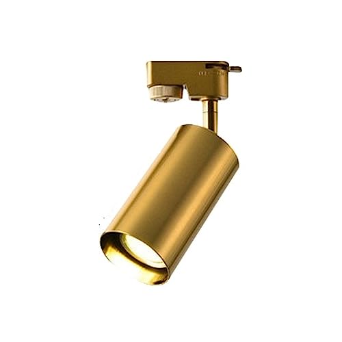 Lumière d'image projecteur d'or moderne de voie de LED noir