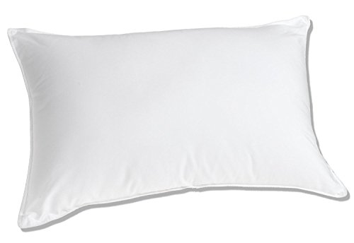 Image of LINENWALAS White Feather and Goose Down Pillow With Protector, 50 /50 Fill, Set of 1 (17x27 Inch)