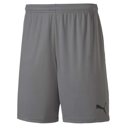 Puma Mens TeamGOAL 23 Knit Shorts, Steel Gray, Steel Gray, Large US