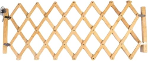 Juxkov TCYؐAR[fBItFX xr[Q[g Lkg XvCX\ Ki]h~ y